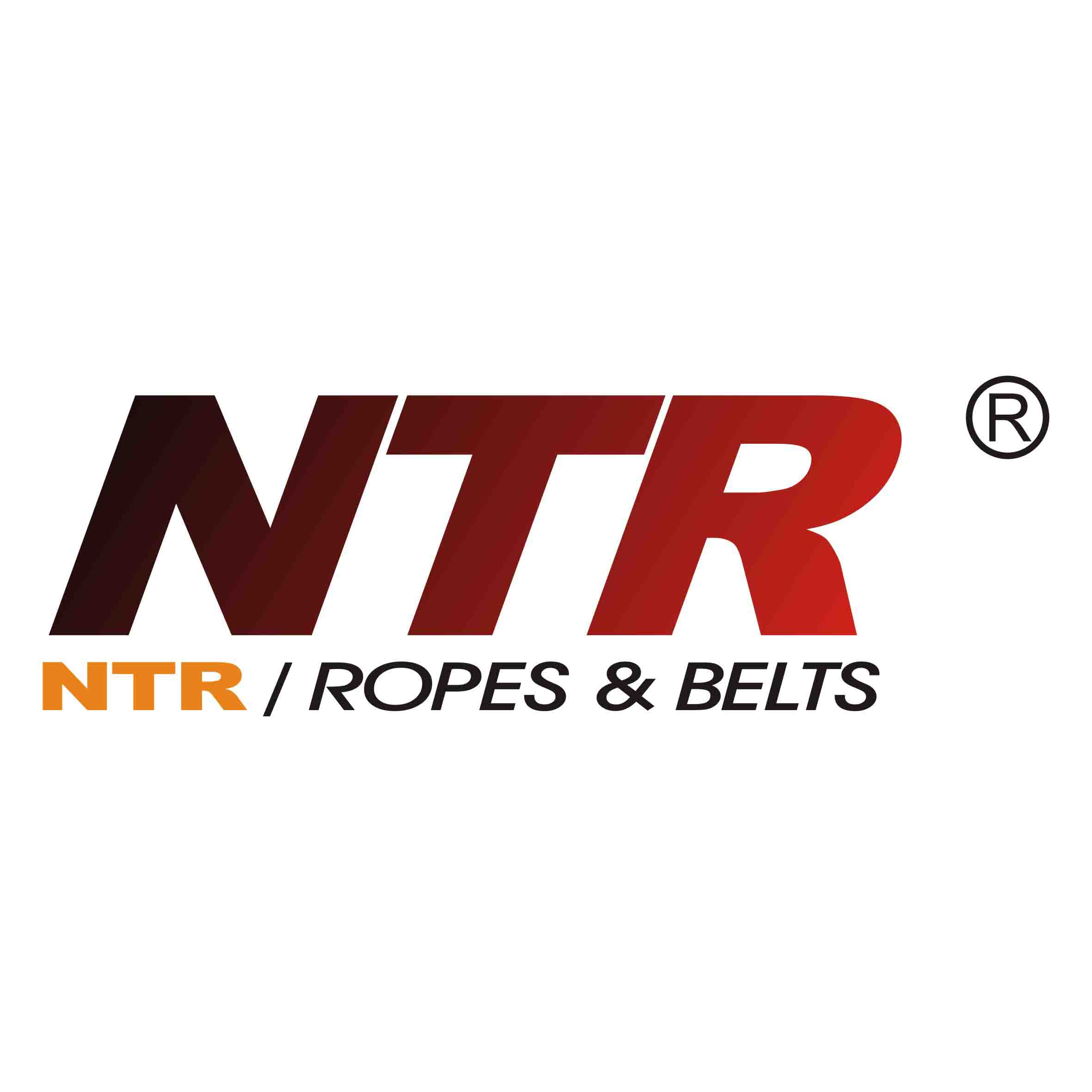 Jiangsu NTR Ropes&Belts Co., Ltd